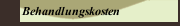 Behandlungskosten